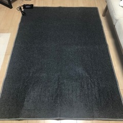 ニトリ/ホットカーペット