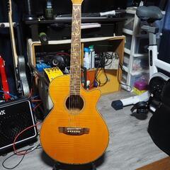 エレアコ　Cooder by Takamine　タカミネ　ギター