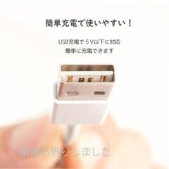 【新品・未使用】★送料無料★ LED 電球 ランプ 暖色光 USB充電　コードレス トグルスイッチ バッテリー内蔵 電球色の画像