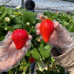 愛知県でママ友作り♪