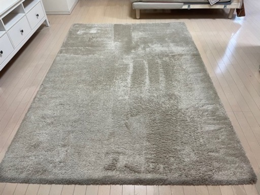 IKEAカーペット　238✖️170