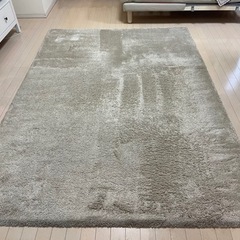 IKEAカーペット　238✖️170