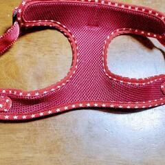 犬用首輪の画像