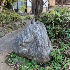 庭石の画像