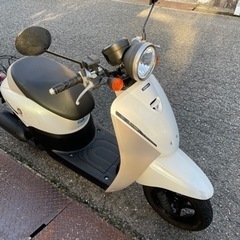 ホンダ　トゥデイ　スクーター如何ですか(取引完了しました)