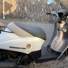 ホンダ　トゥデイ　スクーター如何ですか(取引完了しました)の画像
