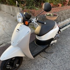 ホンダ　トゥデイ　スクーター如何ですか(取引完了しました)の画像