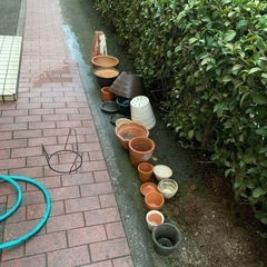 【決定しました】植木鉢の画像