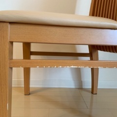3月29日までの短期募集です。の画像