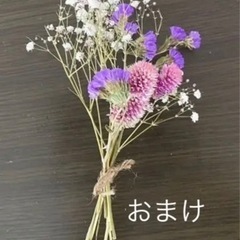 ミモザ　ミニスワッグ　11点セットとおまけ2個の画像