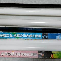 NISSO 蛍光灯ニッソー カラーライト600 60センチ水槽用...