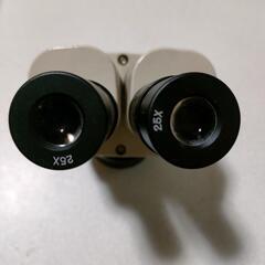 美品　固定倍率実体顕微鏡筒