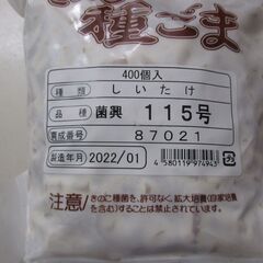 シイタケ種駒　未開封品（400個入り、菌興115号、鳥取県産）郵送可（当方で負担します）の画像