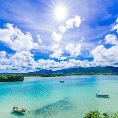 一人旅で石垣島に行くのでアテンドをお願いしたいです