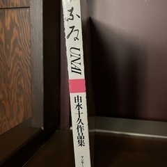 染絵・うない　UNAI  由水　十久作品集の画像