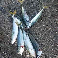 アキレス　ゴムボートの画像