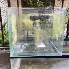 水槽、水槽台　まとめてセット