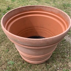 〈決まりました〉使い込んだ大きいプランターその1（プラスチック）...