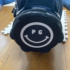 パーリーゲイツ⛳️