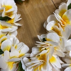 フラダンスレイセットの画像