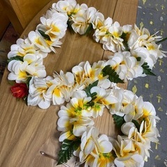 フラダンスレイセットの画像