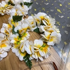 フラダンスレイセットの画像