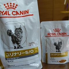 猫餌療法食