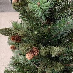 【無料】0328-083 クリスマスツリーの画像