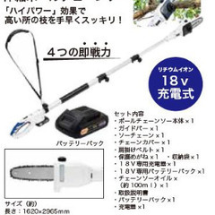高儀 EARTH MAN 【18V 充電式 伸縮ポールチェーンソー CSE-180SLiA】の画像