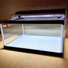 水槽３３点セット！（横６０ｃｍ×奥行４５ｃｍ×高さ３０ｃｍ）の画像