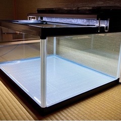 水槽３３点セット！（横６０ｃｍ×奥行４５ｃｍ×高さ３０ｃｍ）