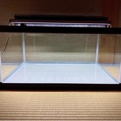 水槽３３点セット！（横６０ｃｍ×奥行４５ｃｍ×高さ３０ｃｍ）の画像