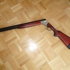散弾銃タイプの光線銃です。の画像