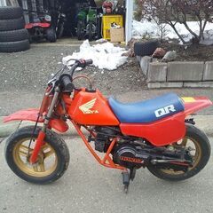 ホンダQR50 お子さんに