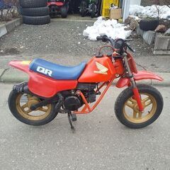 ホンダQR50 お子さんにの画像