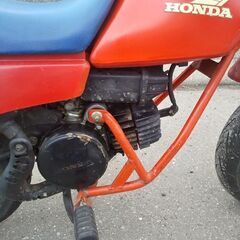 ホンダQR50 お子さんにの画像
