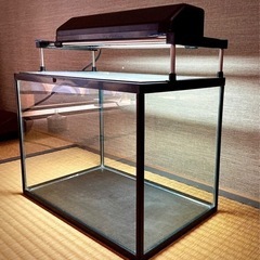 小型水槽３３点セット！（横３５ｃｍ×奥行２２ｃｍ×高さ２６ｃｍ）