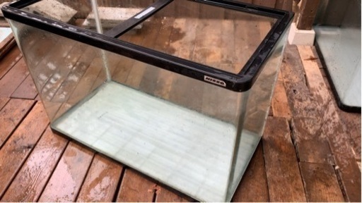 大型水槽　スティングレー　90x 45x６０cm その2