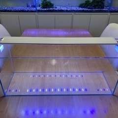 お問い合わせは終了いたします！水槽用ライト　60センチ　差し上げます