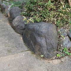 庭石の画像