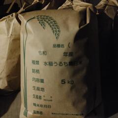 令和3年度　コシヒカリ