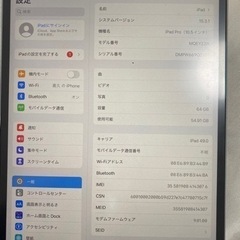 Apple iPad Pro 10.5インチ 64GB