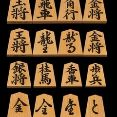将棋メンバー、募集。大分市内で感想戦しませんか？