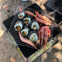 広島　サップ,ウインドサーフィン,キャンプ仲間募集 − 広島県