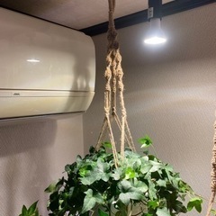 プラントハンガー　マクラメ　観葉植物　サイズ調整可能