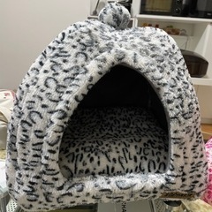 猫ちゃんのおうちの画像