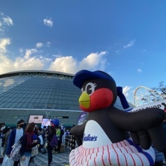 野球観戦しませんか？