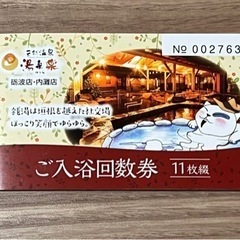 天然温泉ゆらら　入浴回数券11枚