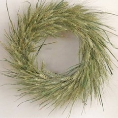 麦pgjmの画像