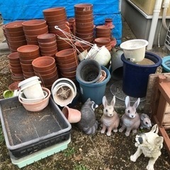 植木鉢　沢山の画像